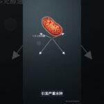 糖尿病并发症的四大夺命通路