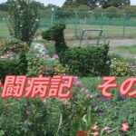 がん闘病記　糖尿病ステージⅡ　その１９