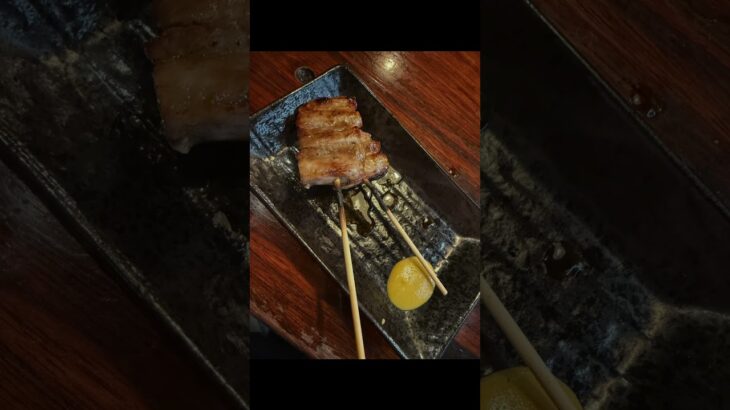 #糖尿病　#高血圧　#不整脈　#ガチレビュー　#焼き鳥　#大吉