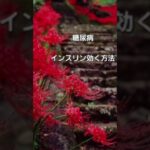#糖尿病#インスリン効く