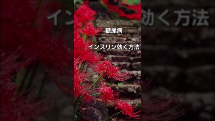 #糖尿病#インスリン効く