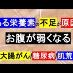 【お腹が弱い】ある栄養素が不足している！肌荒れ/糖尿病/大腸がんの対策にも◎【管理栄養士】