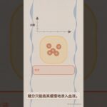 糖尿病吃水果的真相