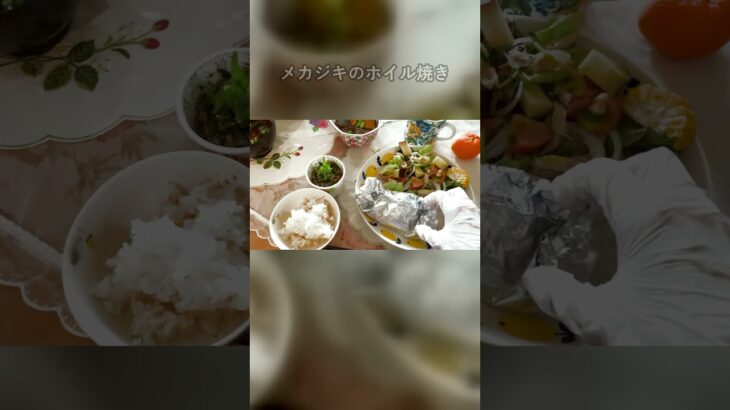 糖尿病の母に出した一週間のごはん #在宅介護 #糖尿病 #介護食