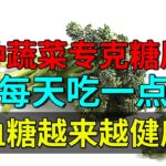 一种蔬菜专克糖尿病，每天吃一点，血糖越来越健康【养生堂】