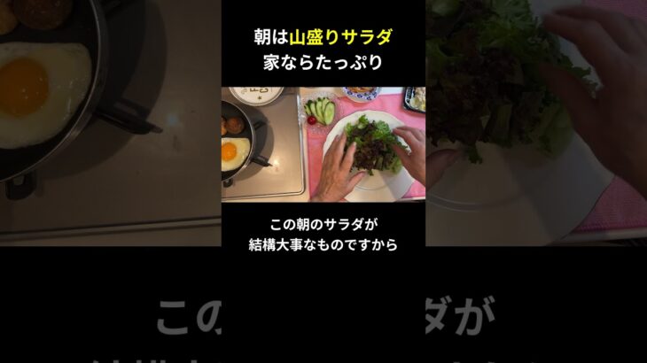 朝は山盛りサラダ 家ならたっぷり【糖尿病の食事】 #料理 #糖尿病 #日常