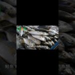 三酸甘油脂過高會怎樣？高血壓、糖尿病甚至胰臟炎都可能找上門#艾門享受健康計畫 #飲食計畫 #減肥 #瘦身 #健康  #蔬果漾 #優菌多 #亮妍肌漾