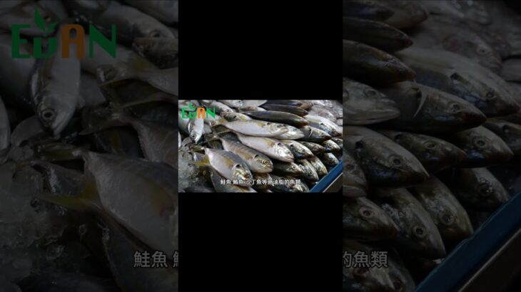 三酸甘油脂過高會怎樣？高血壓、糖尿病甚至胰臟炎都可能找上門#艾門享受健康計畫 #飲食計畫 #減肥 #瘦身 #健康  #蔬果漾 #優菌多 #亮妍肌漾
