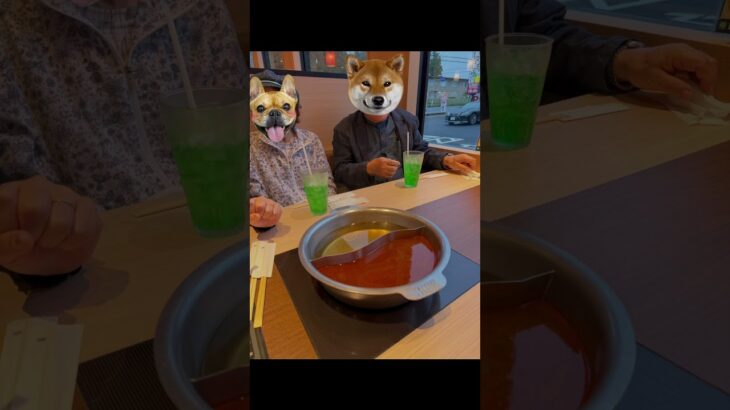 #糖尿病　#高血圧　#ゆず庵　#サブゴロー夫妻