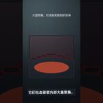 糖尿病真正的致命杀手