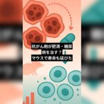 抗がん剤が肥満・糖尿病を治す？マウスで寿命も延びた