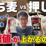 【血糖値検証】もち麦 vs 押し麦！糖尿病患者が食べて上がりにくいのはどっち？
