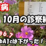 【糖尿病】いくつになっても褒められるのは嬉しい！散歩は今私のなかでのストレス解消法の大事な1つ！