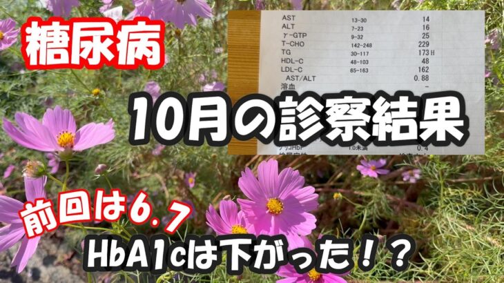 【糖尿病】いくつになっても褒められるのは嬉しい！散歩は今私のなかでのストレス解消法の大事な1つ！