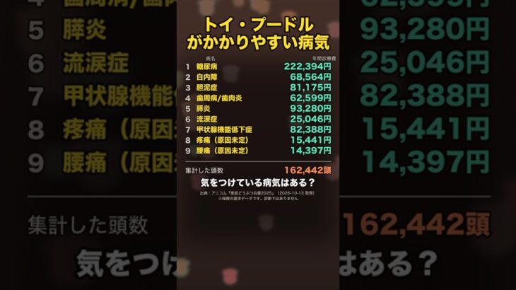1位は糖尿病｜トイ・プードルがかかりやすい病気 #shorts