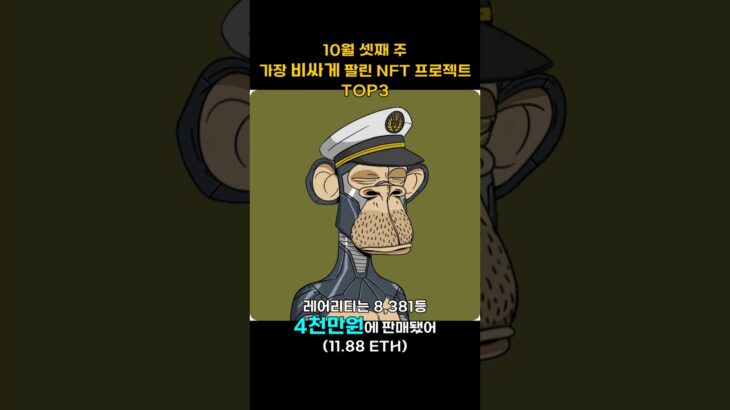 10월 셋째 주 가장 비싸게 팔린 NFT 프로젝트 TOP3 #Shorts, #쇼츠 #NFT