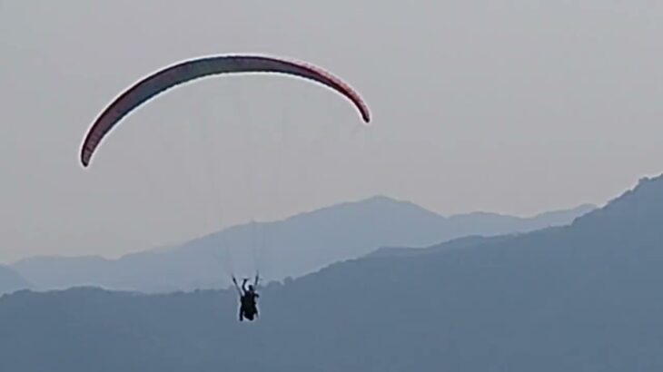 1151017健康888我和你-世界糖尿病日