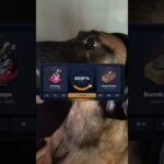 Бобик решил то что он – КИБЕРСМОРТСМЕН  #кс2 #shorts #steam #nft #telegram