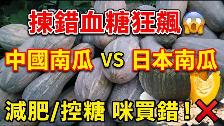 中國南瓜定日本南瓜？糖尿病、減肥必睇！南瓜揀錯血糖狂飆？老行家教你「防霉保命3招」+「黃金配搭」，食啱營養翻十倍！一條片教你揀啱南瓜降血糖兼減肥！#南瓜#健康飲食#致癌#糖尿病#減肥#食物安全