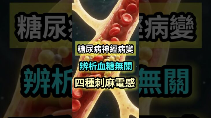 有糖尿病又手腳麻？先別怪血糖！可能是這4個問題 #神經 #手麻 #糖尿病 #甲狀腺 #b12#metformin #腎臟病