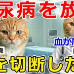 【猫ミーム】「後悔」糖尿病を甘く見た40代俺、気づいた時には足を切断することに…