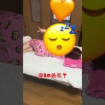5年間で30kg増やした女の末路😱#糖尿病予備軍 #糖尿病