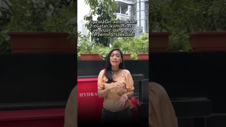 APA KABAR NFT?? PENIPUAN DEKADE INI?