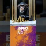 Art Machine: Good Morning Little Monkey