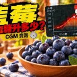 藍莓會升血糖嗎？CGM 實測｜糖尿病前期兩小時血糖紀錄