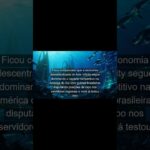 Ficou comprovado que a economia