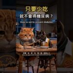 只要少吃就不會得糖尿病？吃對份量才有用 🍚 How to Eat to Prevent Diabetes｜三貓同居宇宙 #Shorts