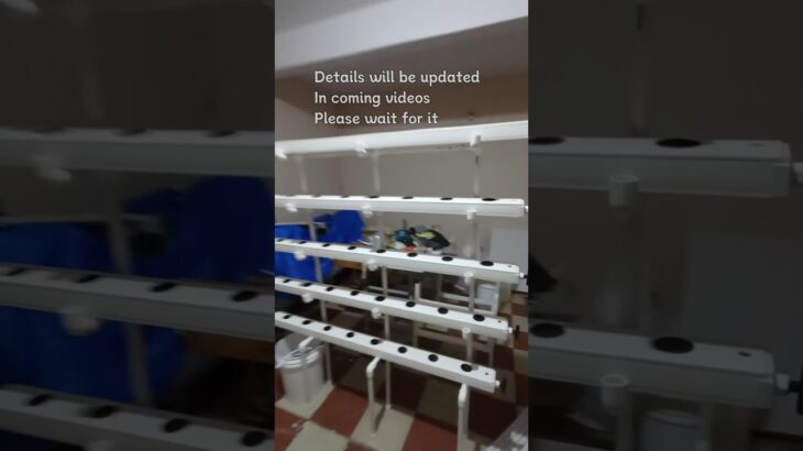 Hydroponics NFT / DFT system – with Wall Mount stand – #gardening #hydroponics #nft #plants #diy