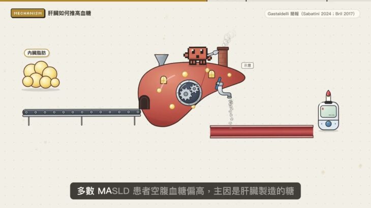 當糖尿病遇上肝臟：MASLD 該不該篩檢？EASD 2026 Diabetologia