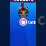 My 3 cute pets in adopt me and they’re NFT