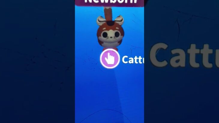 My 3 cute pets in adopt me and they’re NFT