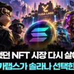 지루했던 NFT 시장 다시 살아나나…유가랩스가 솔라나 선택한 이유