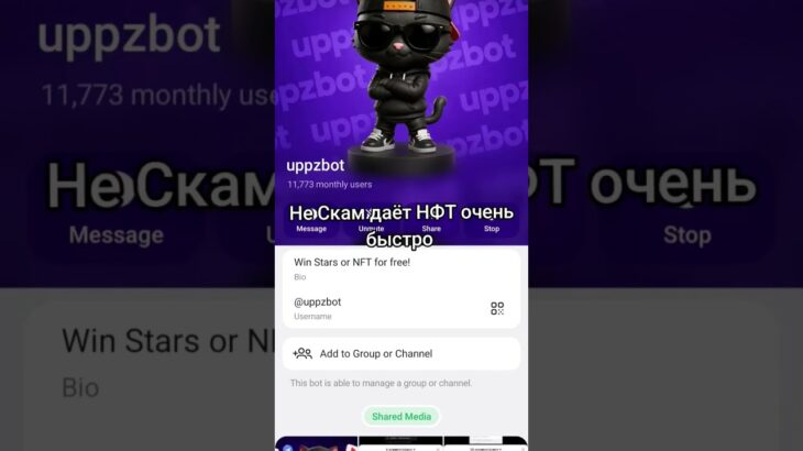 Бот с заданиями, звёздами и NFT-подарками реально выдал 4к звёзд #uppzbot #uppzbottop @uppzbot