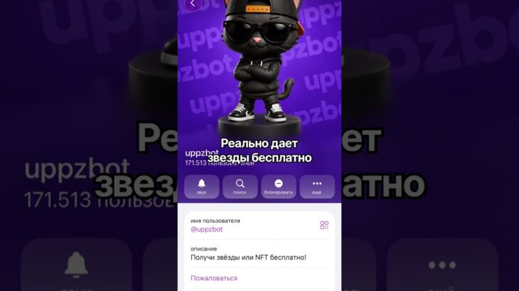 Бот с заданиями, звездами и NFT- подарками #uppzbot #тг #nft