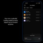 OpenSea Mobile: All Your Wallets in One Place | 85/100 NFT Drop Spotlight
