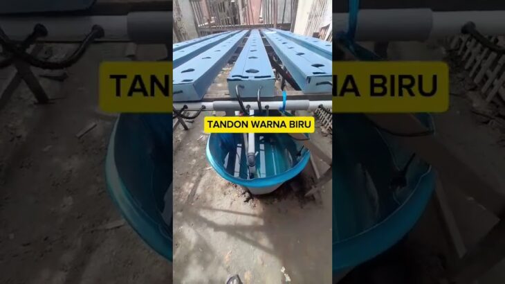 Rak instalasi hidroponik sistem NFT