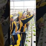 School groups walk NFT systems