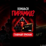 Боишься пирамид? Узнай, как работают VISA карты в RWA NFT #безопасность #инвестиции