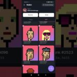 Verychat Punk NFT true price revealed – see how I found out