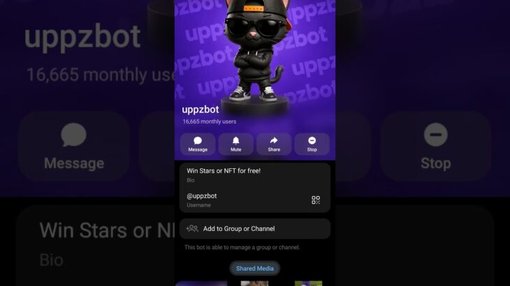 You can win stars or nft for free with this robot!