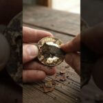 dali coin, dali nft coin, tiktok coin, ff9 def guide # 6, tiktok coin