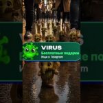 Милые брейнроты #minecraft #nft #brainrot