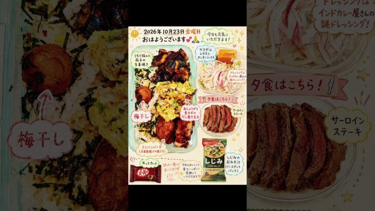 #糖尿病弁当#旦那弁当#shorts