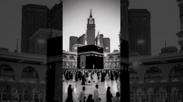 #unfrezzmyaccount misbabul💚💚💚💚💚💚💚🫂🫂🕋 #jfh #jdvlog #hdhealthylife 💚💚🤲🤲🤲🕌🕌🕌 #ncert #nft 🕋🕋🕋🕋🕋🕋