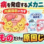 糖尿病を発症するメカニズム