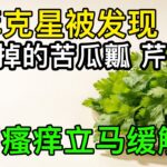 糖尿病人皮肤反复痒？被丢掉的苦瓜瓤、芹菜叶有奇效，瘙痒立马缓解【养生大中医】
